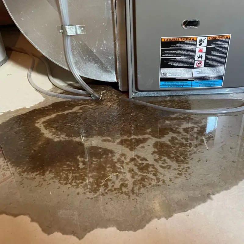 Pipe Burst and Leak Restoration in Wood River, NE