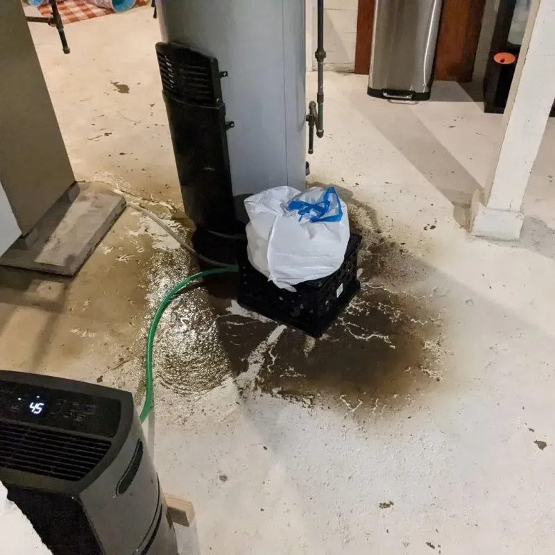 Sewage Backup Cleanup Service in Wood River, NE